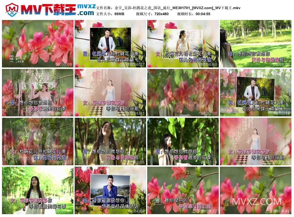 金宇_吴莎-杜鹃花之恋_国语_流行_ME301701